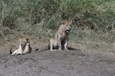 DSC_3650 (Large).JPG